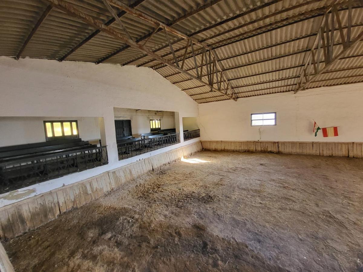 Hacienda Las Lumbreras Montellano Kültér fotó