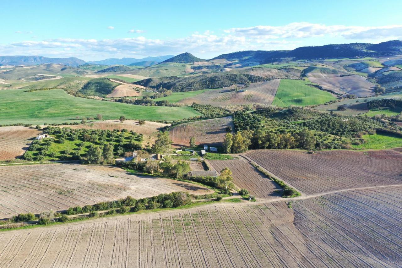 Hacienda Las Lumbreras Montellano Kültér fotó
